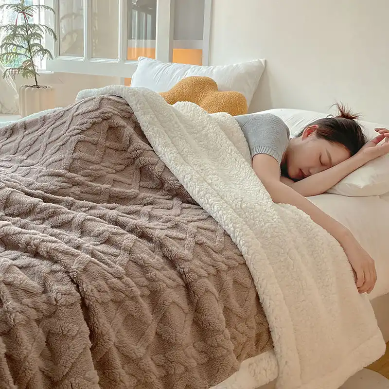 Soft Thick Double Layer Polyester Fleece Blanket